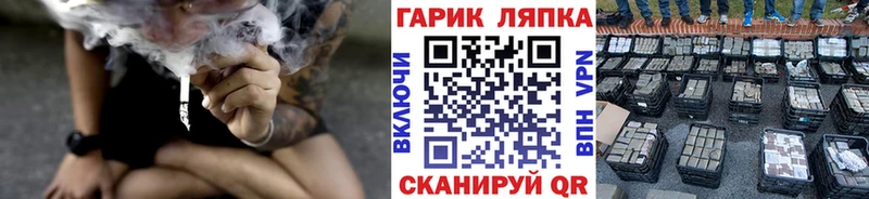 ОМГ ОМГ как зайти  Светлогорск  ГАШИШ 40% ТГК  где найти наркотики 