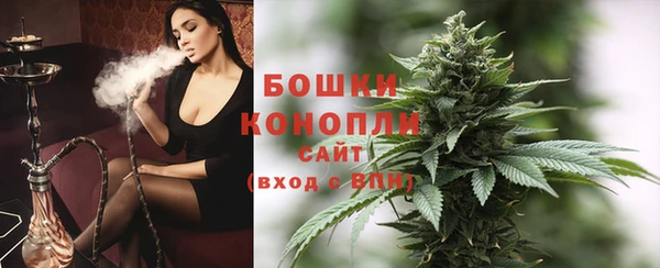 бошки Богданович