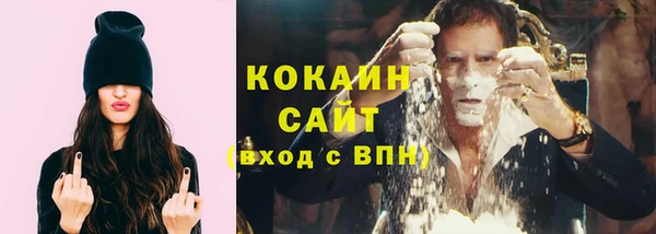 сатива Богородск