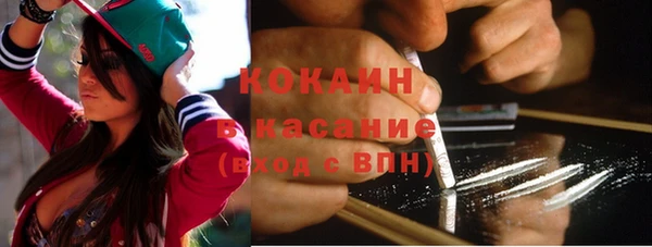 mdpv Богородицк