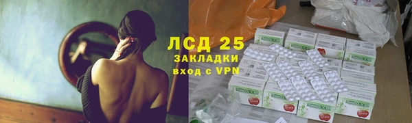 mdpv Богородицк