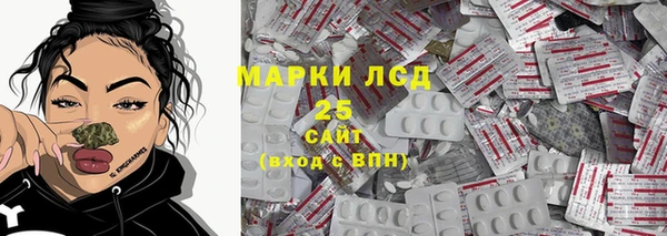 mdpv Богородицк