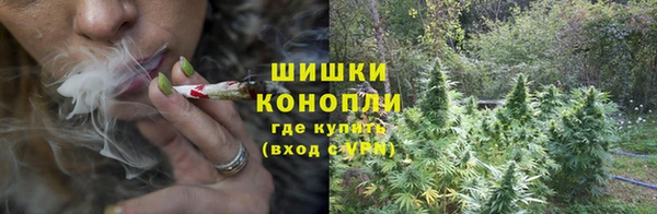 бошки Богданович