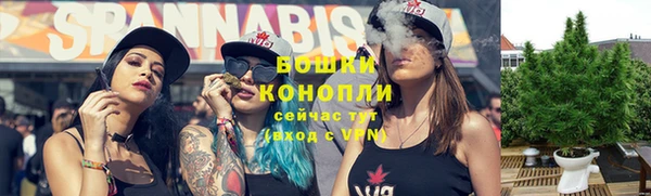 шишки Белоозёрский