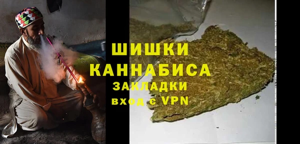 сатива Богородск