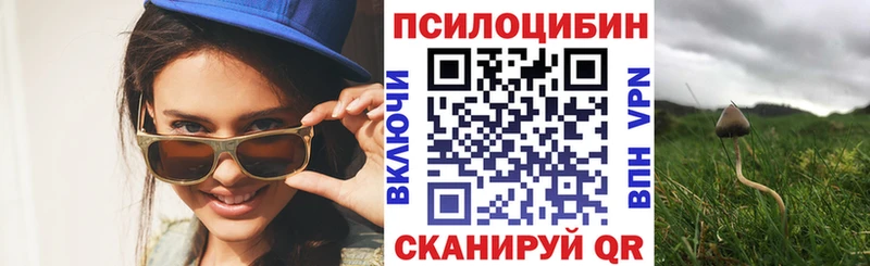 Галлюциногенные грибы прущие грибы где продают наркотики Светлогорск